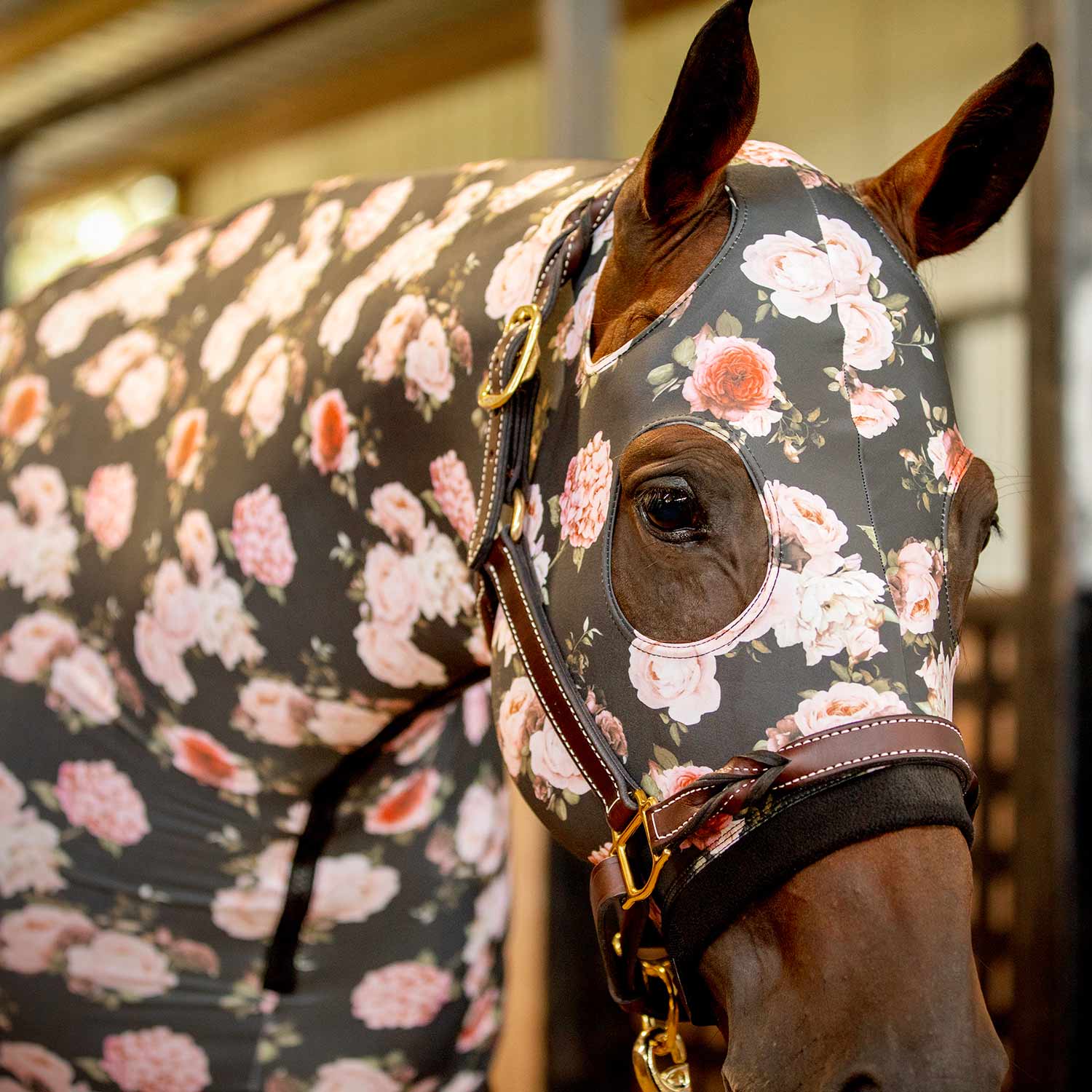 Expression Lycra Hood for Horses