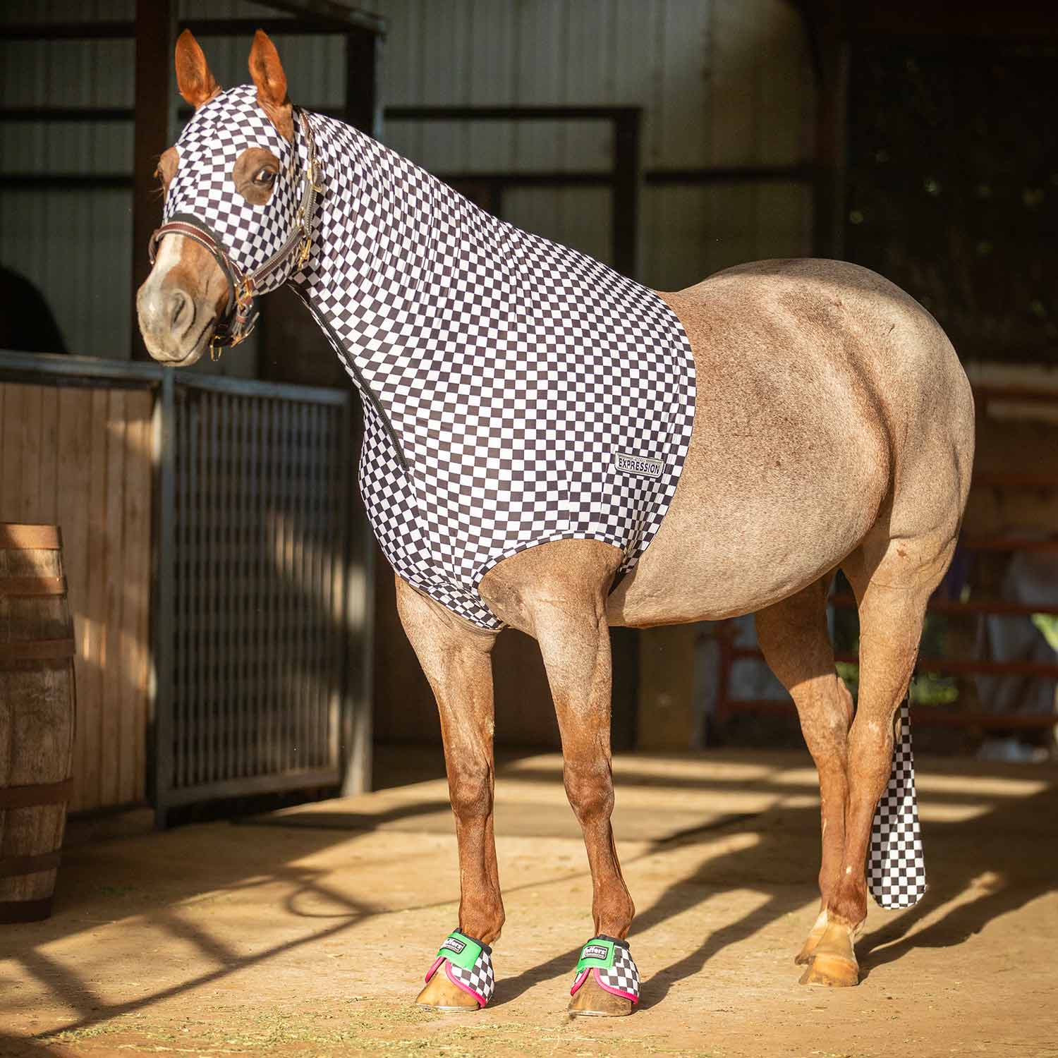 Expression Lycra Hood for Horses