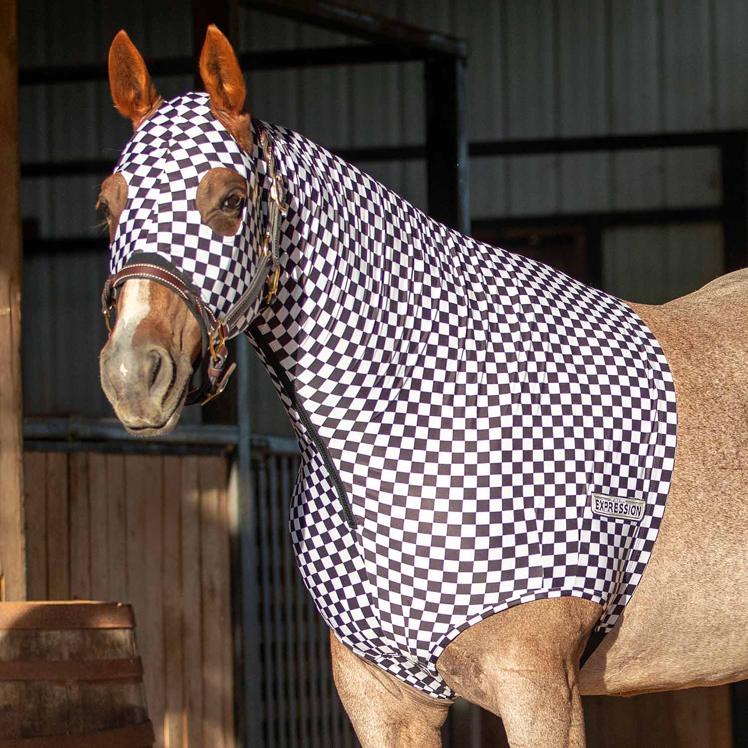 Expression Lycra Hood for Horses