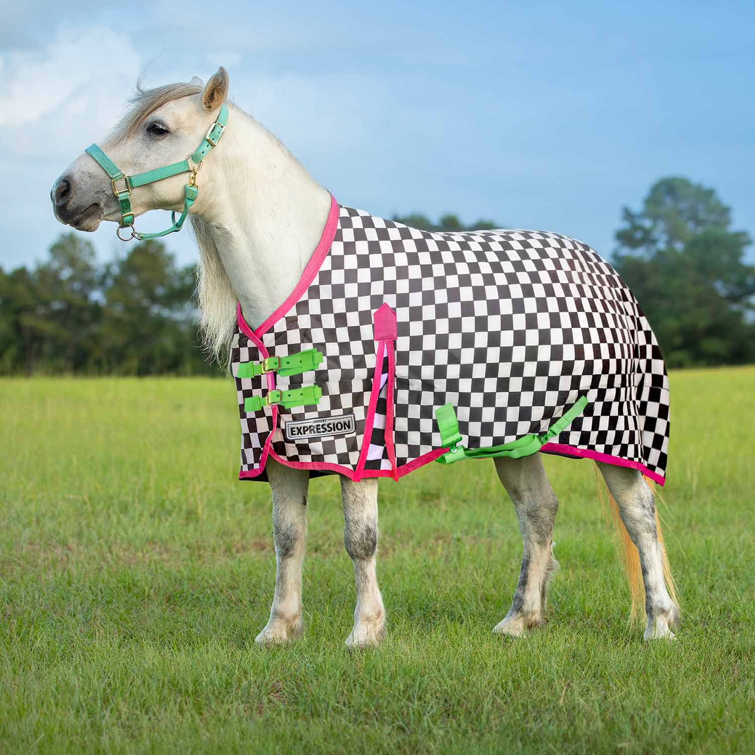 Expression Pony 1200 Denier Medium Weight Standard Neck Turnout Blanket, 240g Fill