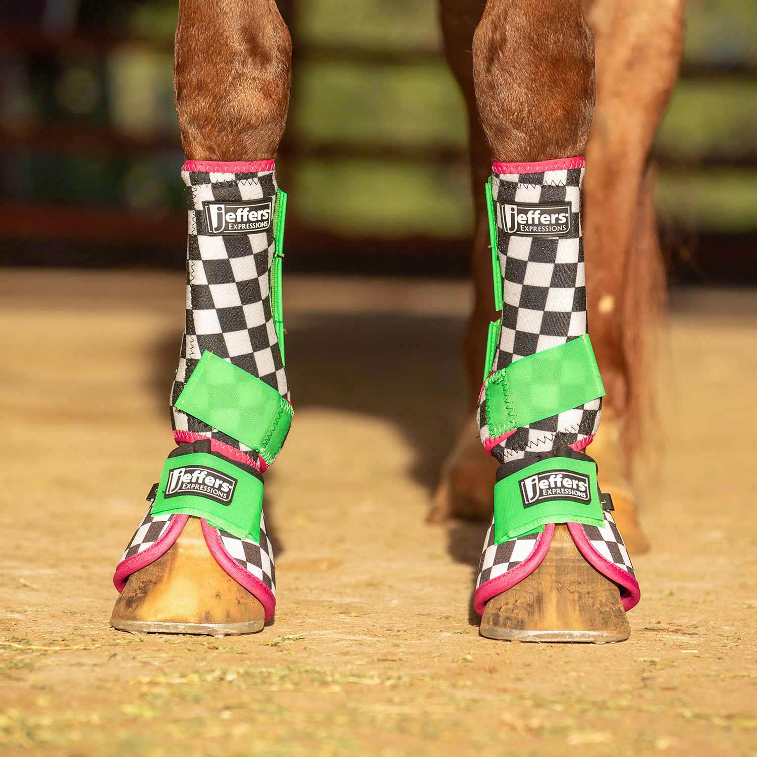 Expression Protective Boots for Horses