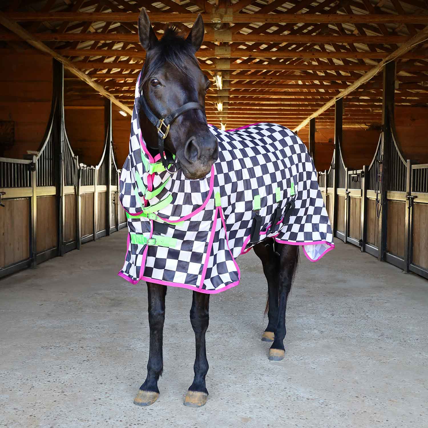 Expression Softmesh Combo Neck Horse Fly Sheet