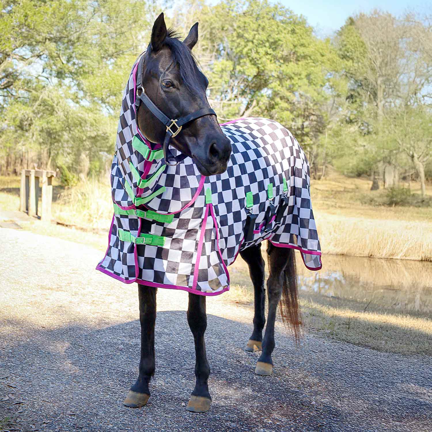 Expression Softmesh Combo Neck Horse Fly Sheet