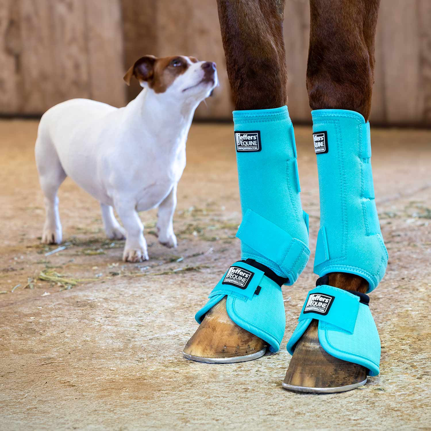 No-Turn Bell Boots for Horses, Solid Colors, 2 ct