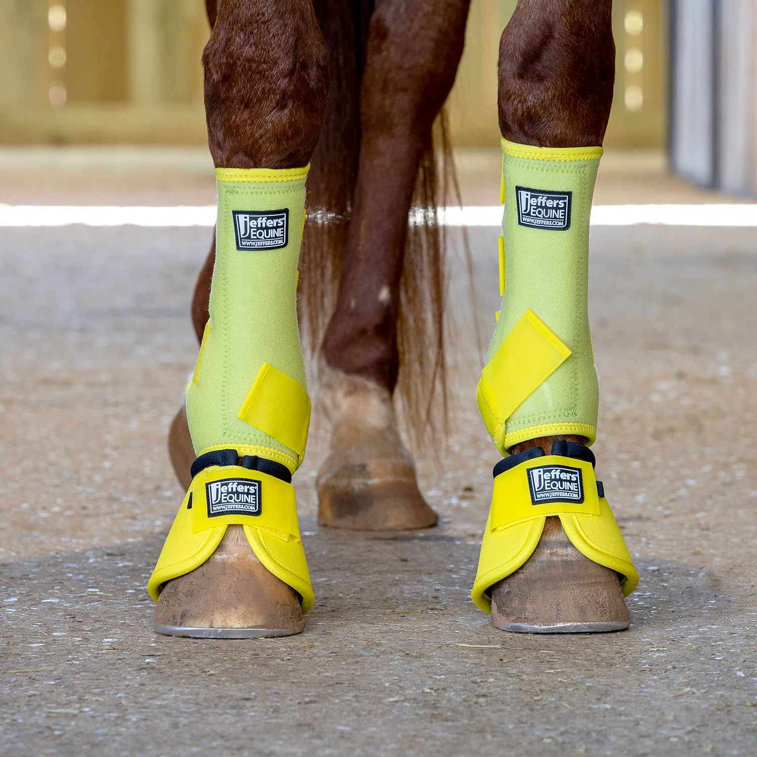 Protective Horse Boots, Solid Colors
