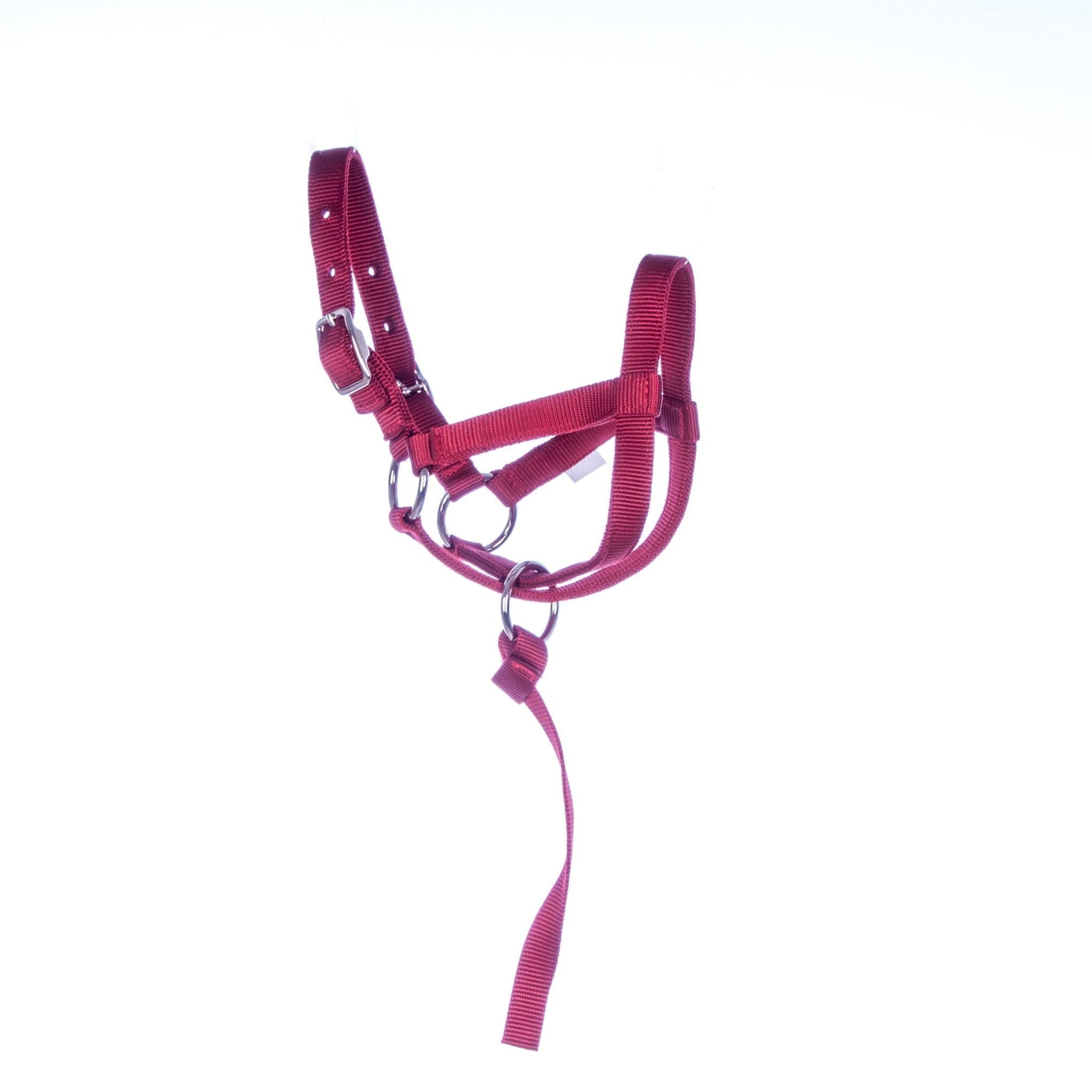 Nylon Llama Halter with Catch Strap