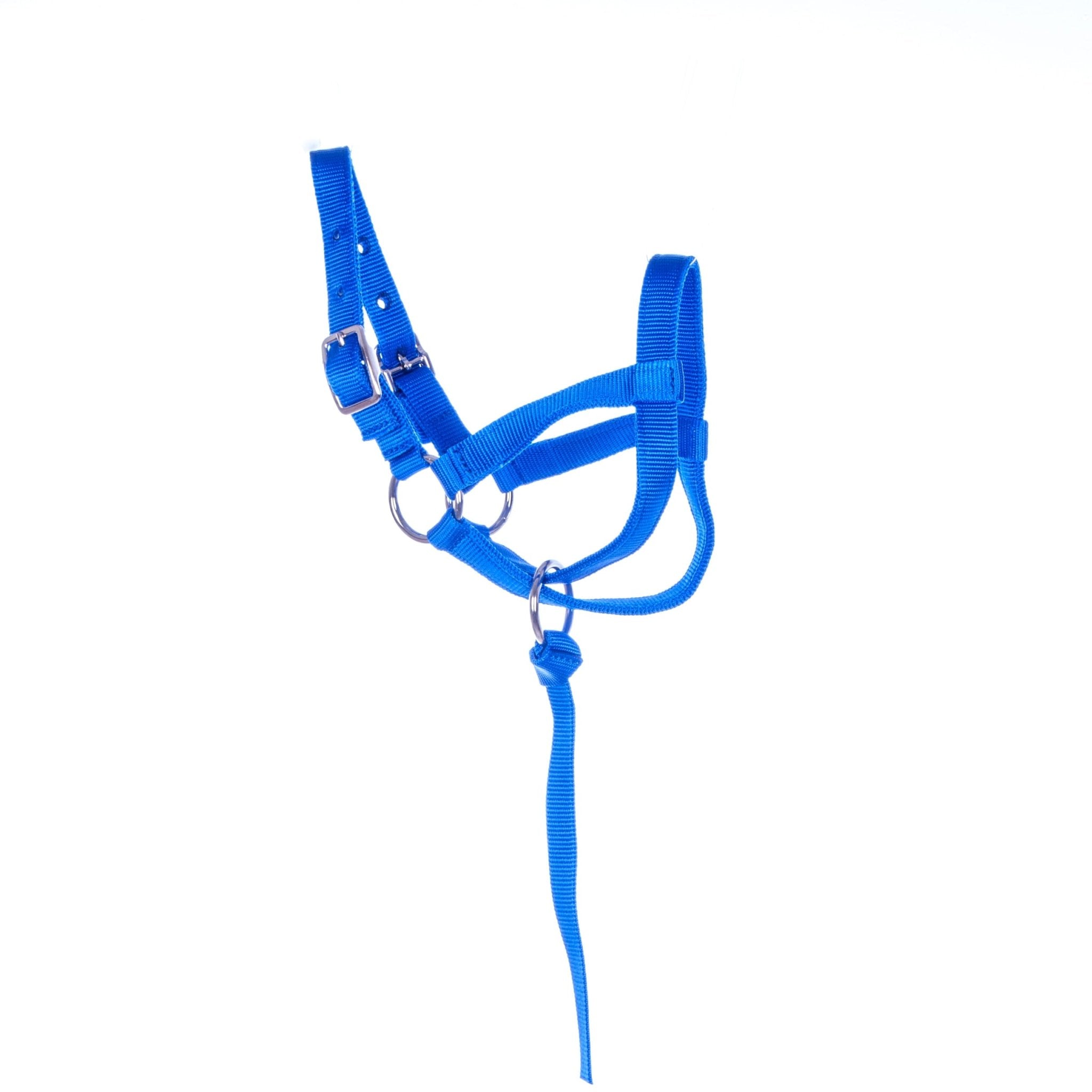 Nylon Llama Halter with Catch Strap