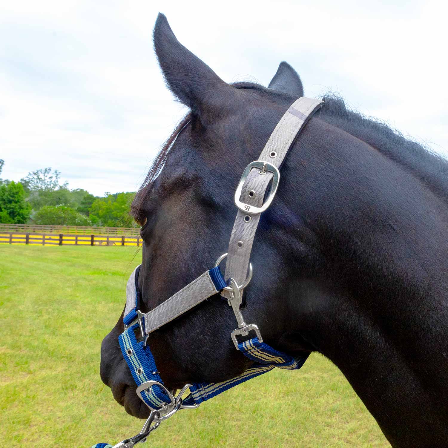 Matching Horse Halter & Lead Rope 2 Piece Set, Full Size
