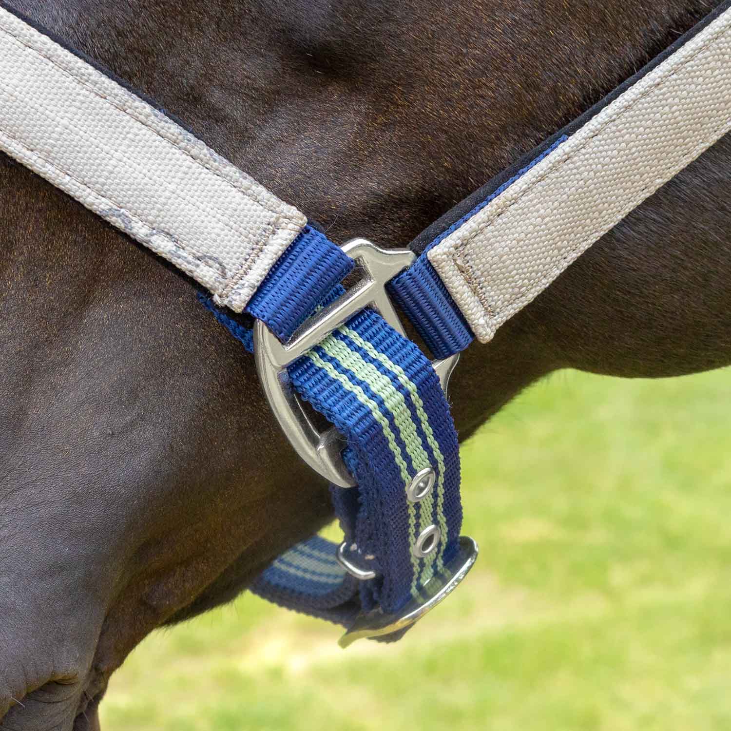 Matching Horse Halter & Lead Rope 2 Piece Set, Full Size