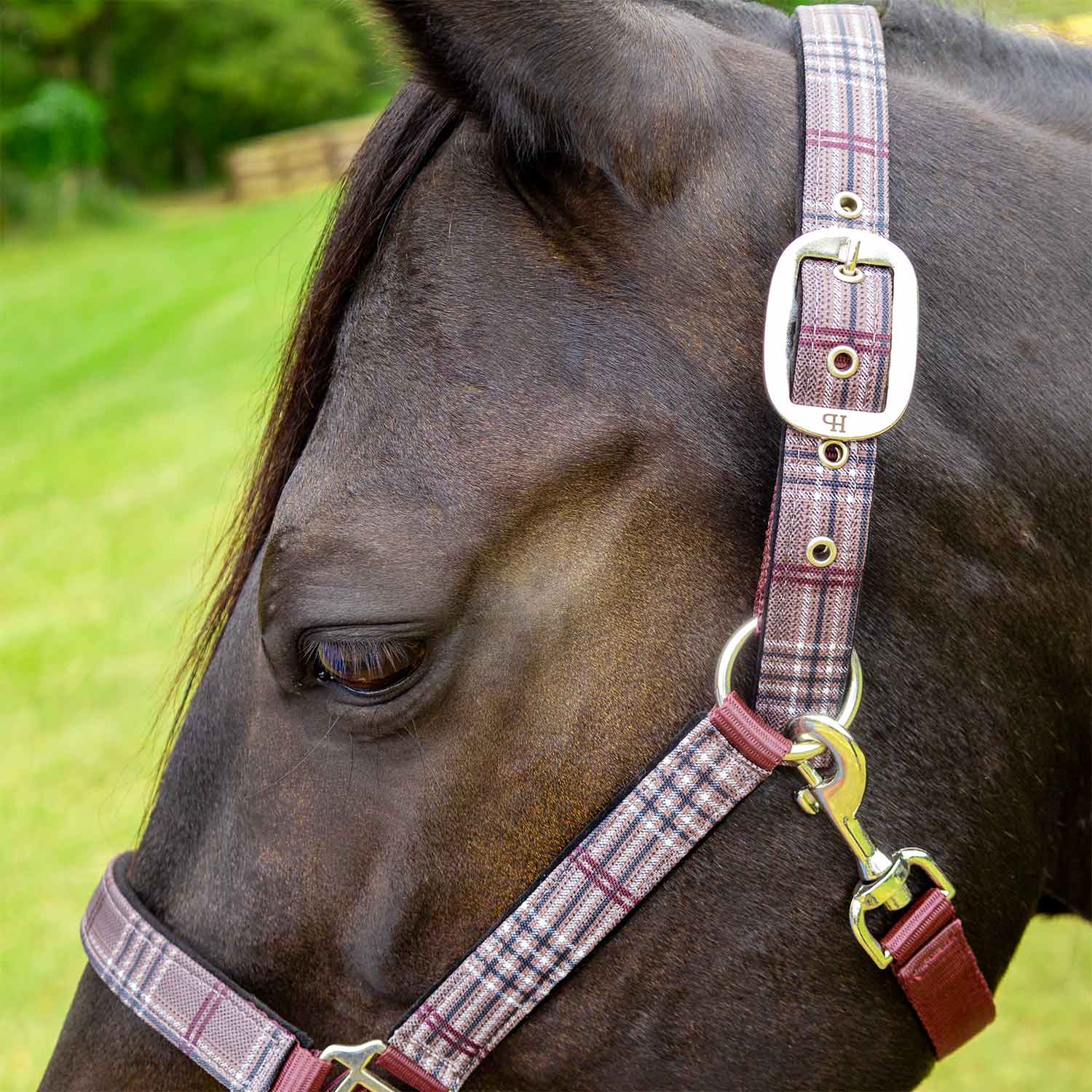 Matching Horse Halter & Lead Rope 2 Piece Set, Full Size