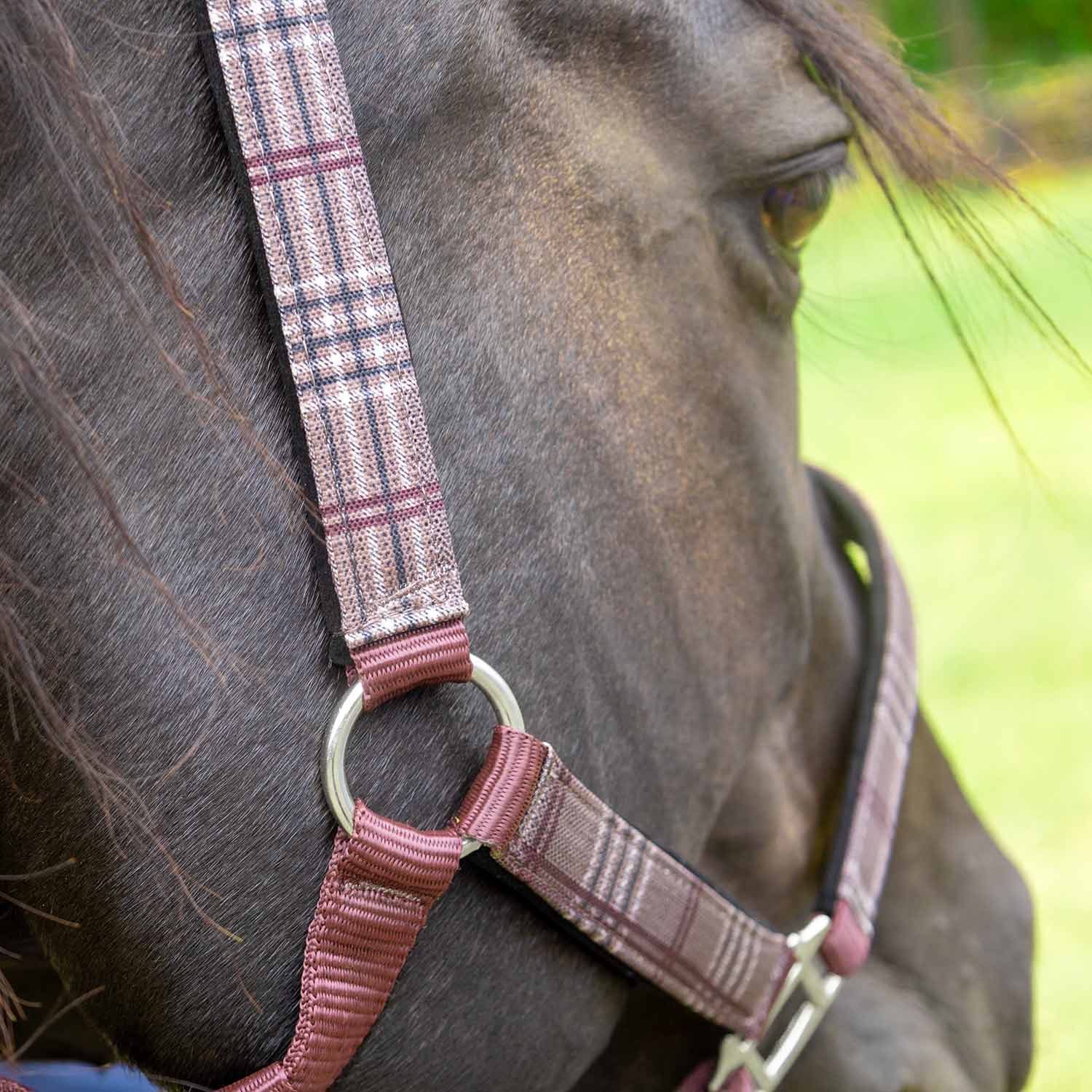 Matching Horse Halter & Lead Rope 2 Piece Set, Full Size