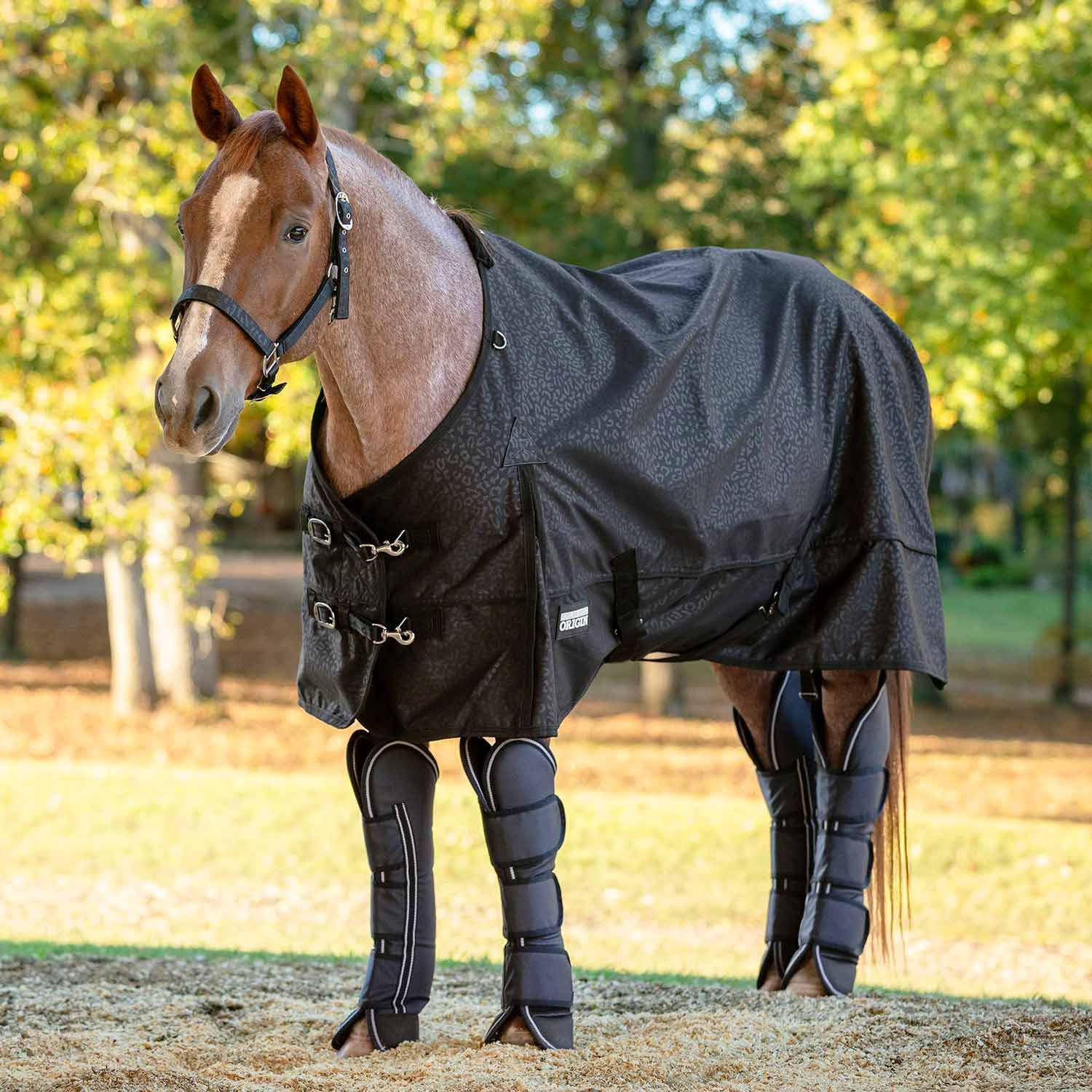 Poplar Head Horse Shipping Boots, 4-Pack with Carry Bag
