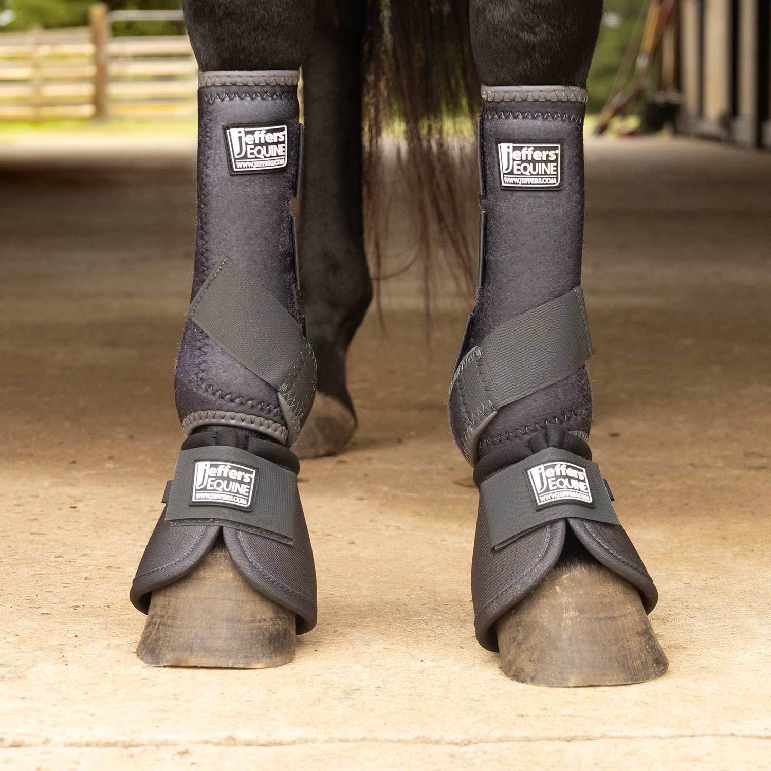 Protective Horse Boots, Solid Colors