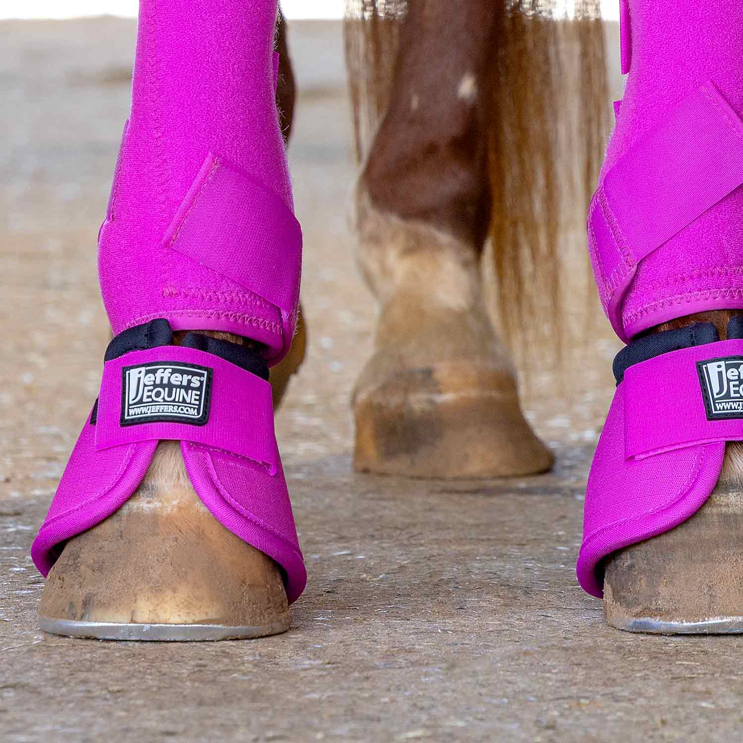 Protective Horse Boots, Solid Colors