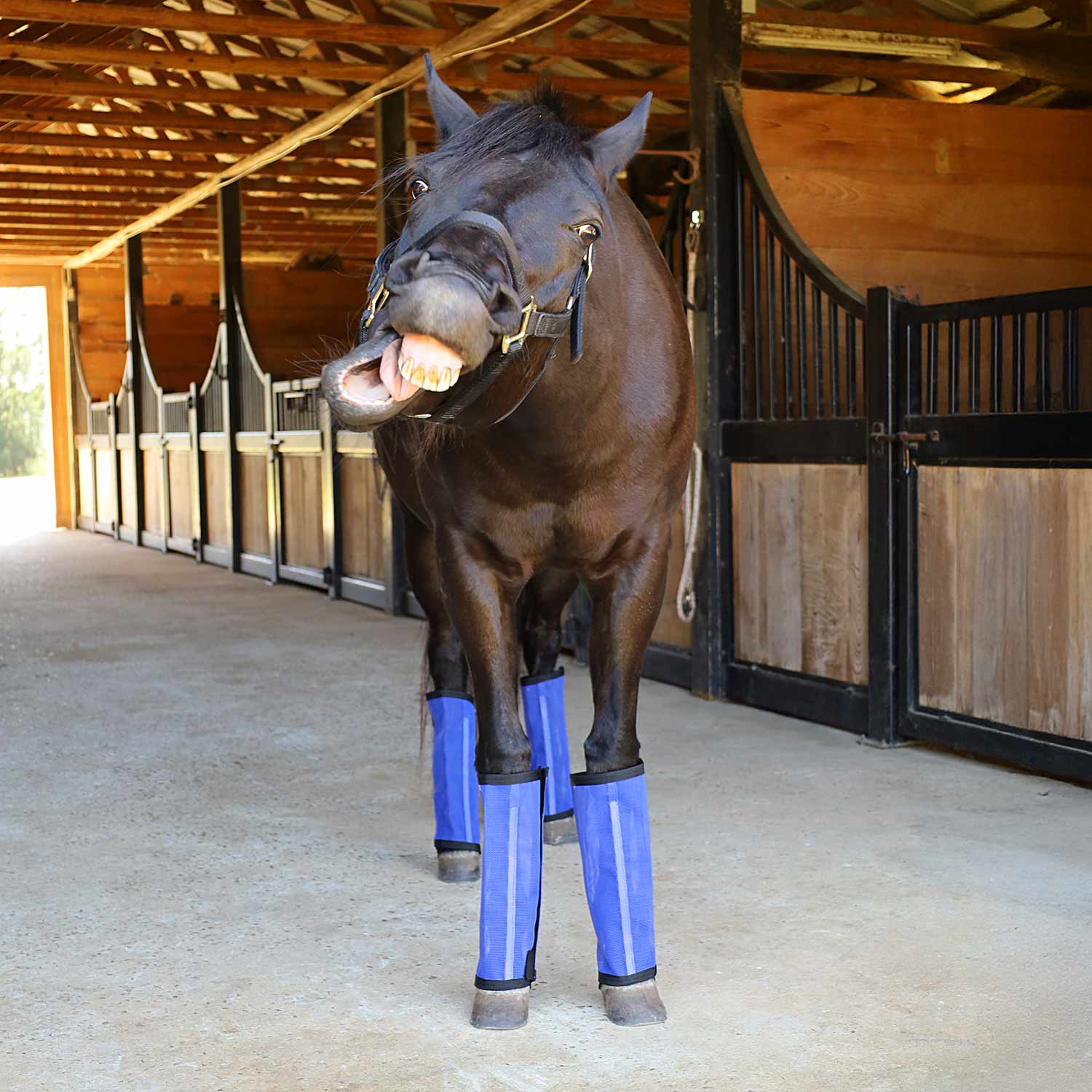 Romper Stomper "Stomp-Free" Fly Boots for Horses, 4 pack