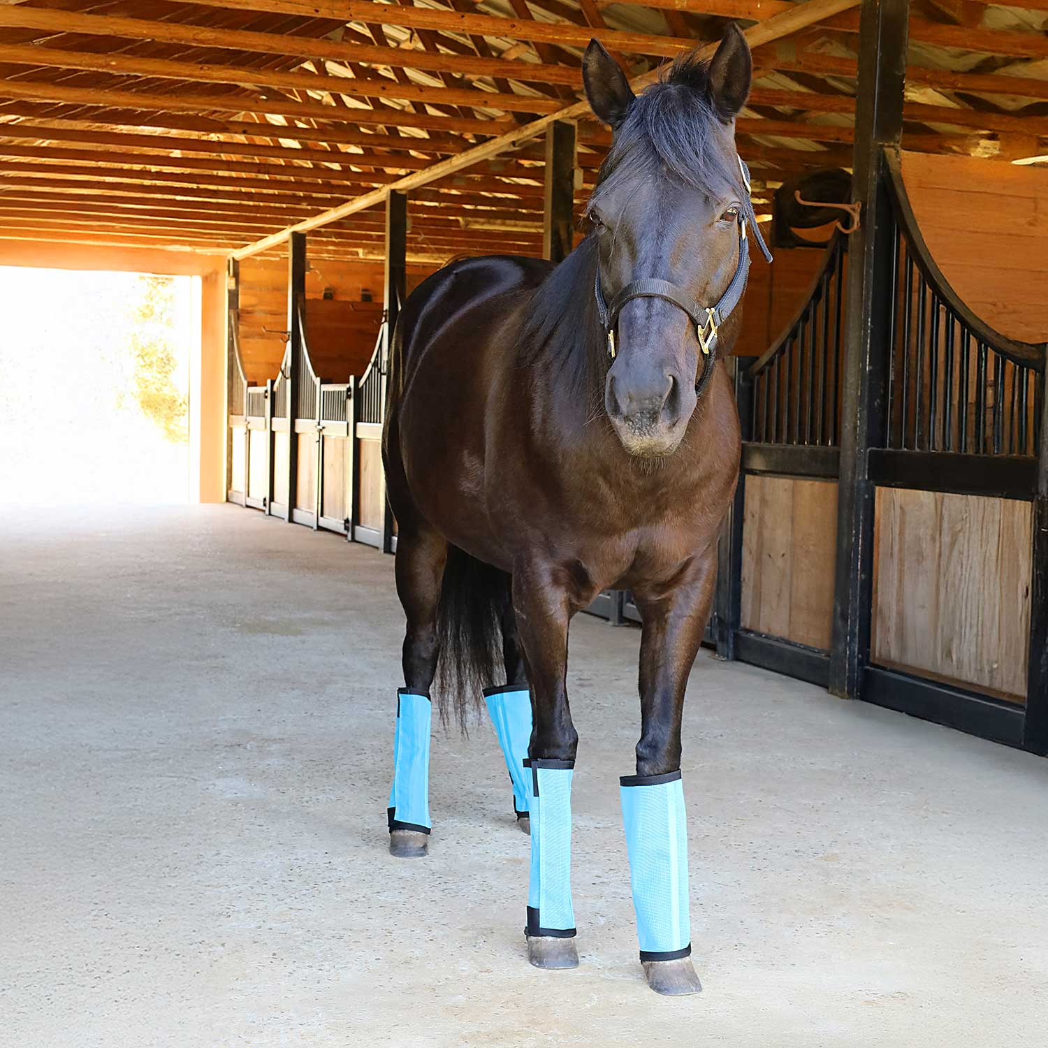 Romper Stomper "Stomp-Free" Fly Boots for Horses, 4 pack