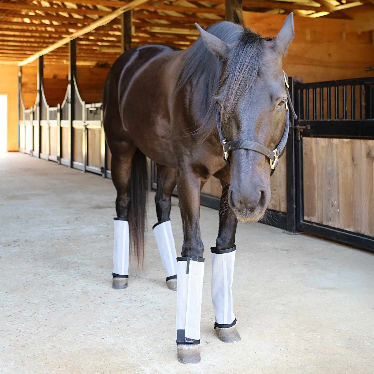 Romper Stomper "Stomp-Free" Fly Boots for Horses, 4 pack