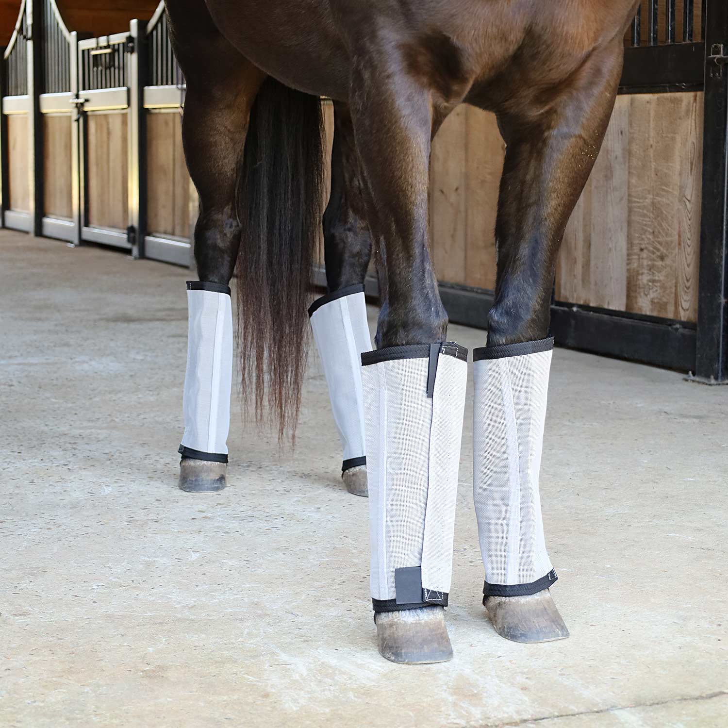 Romper Stomper "Stomp-Free" Fly Boots for Horses, 4 pack