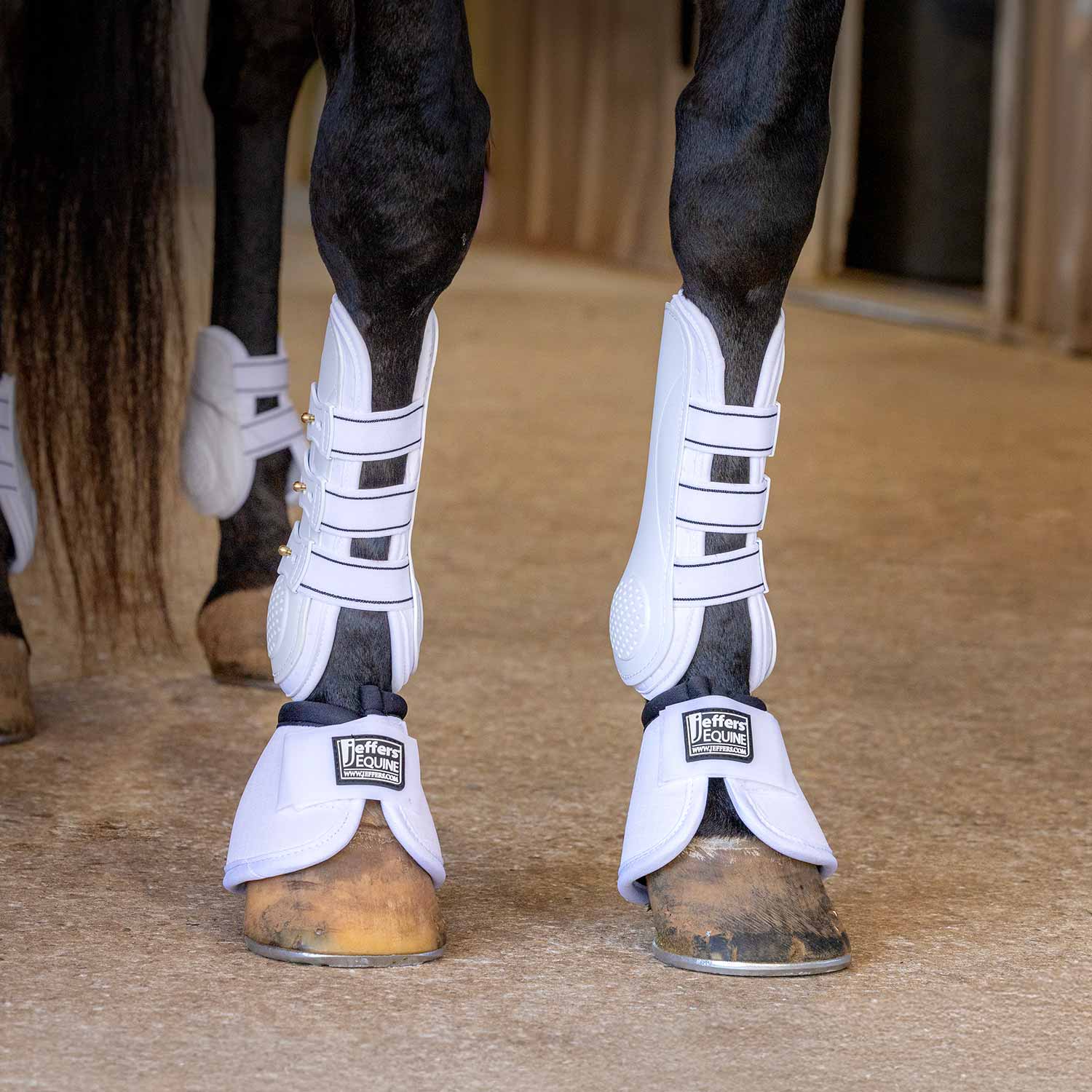 Uniquely English Horse Tendon Boots, 2-Pack