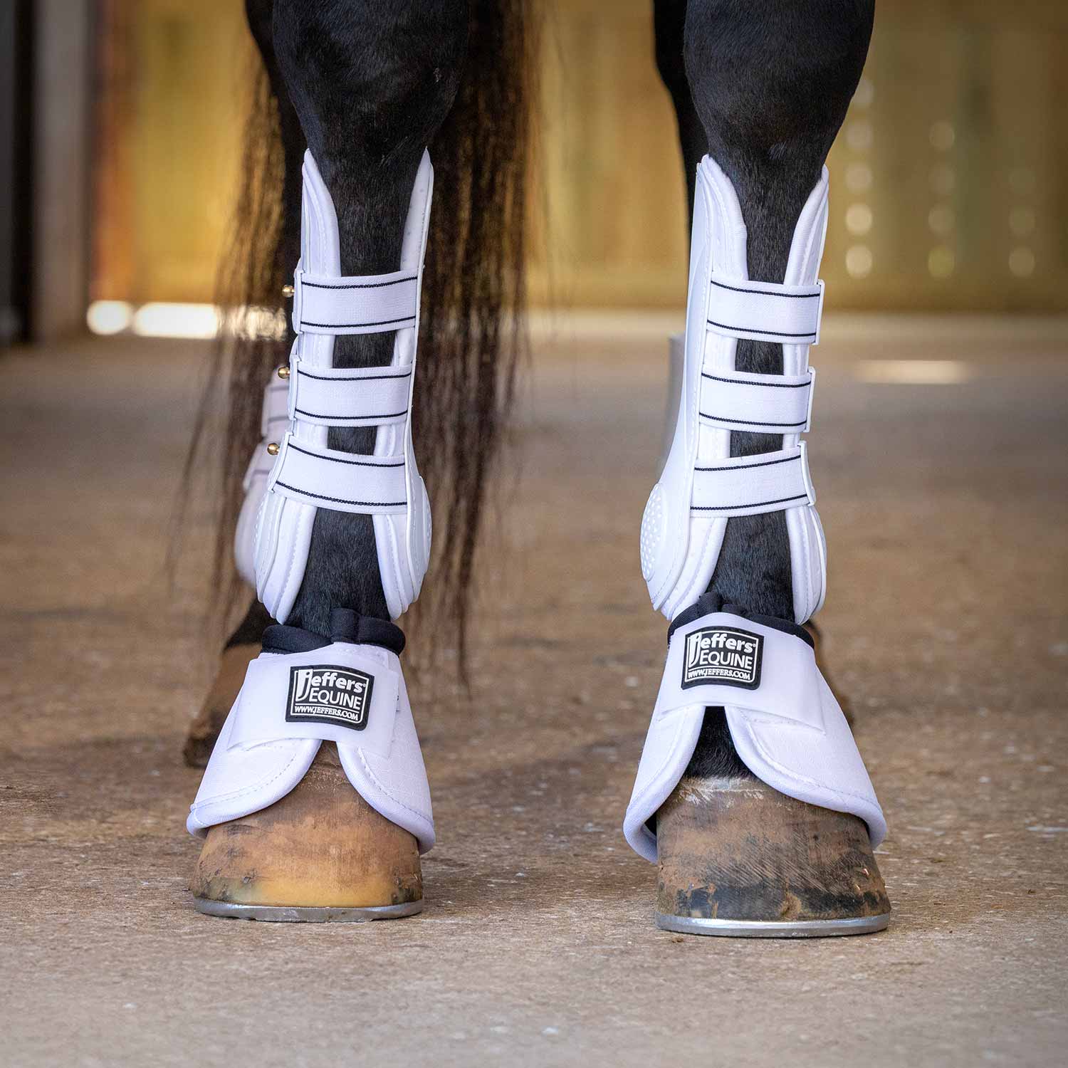 Uniquely English Horse Tendon Boots, 2-Pack