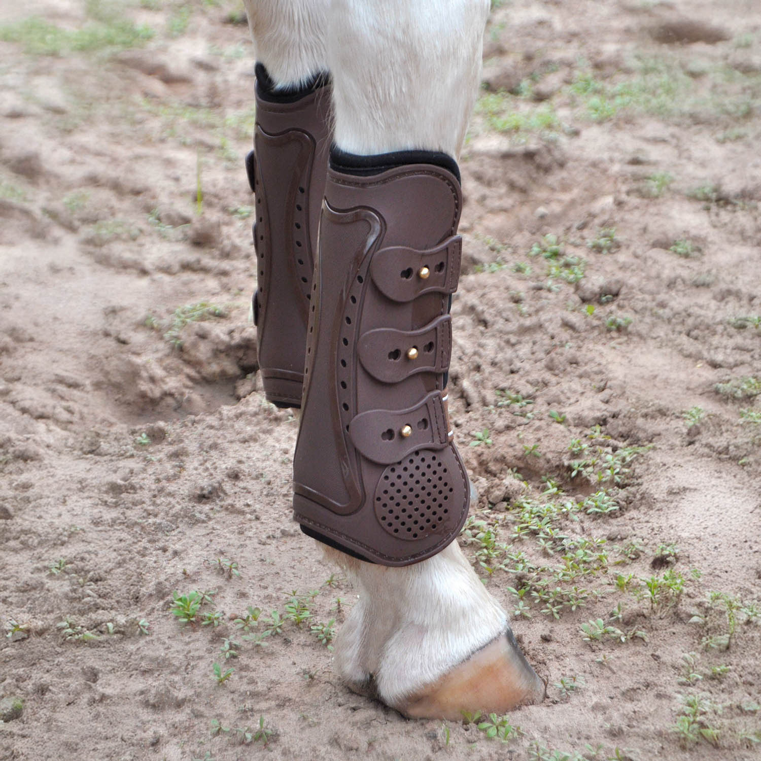 Uniquely English Horse Tendon Boots, 2-Pack