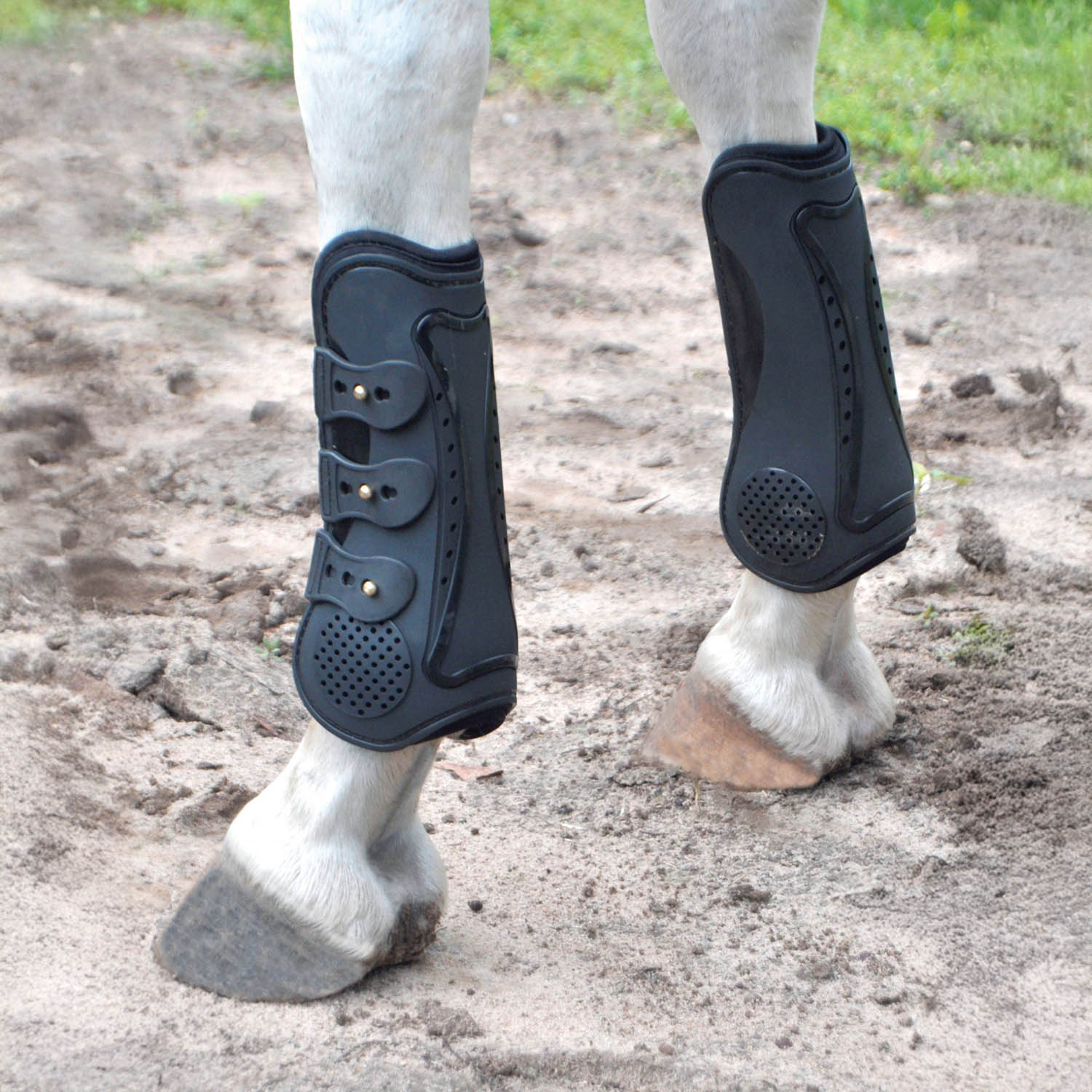 Uniquely English Horse Tendon Boots, 2-Pack