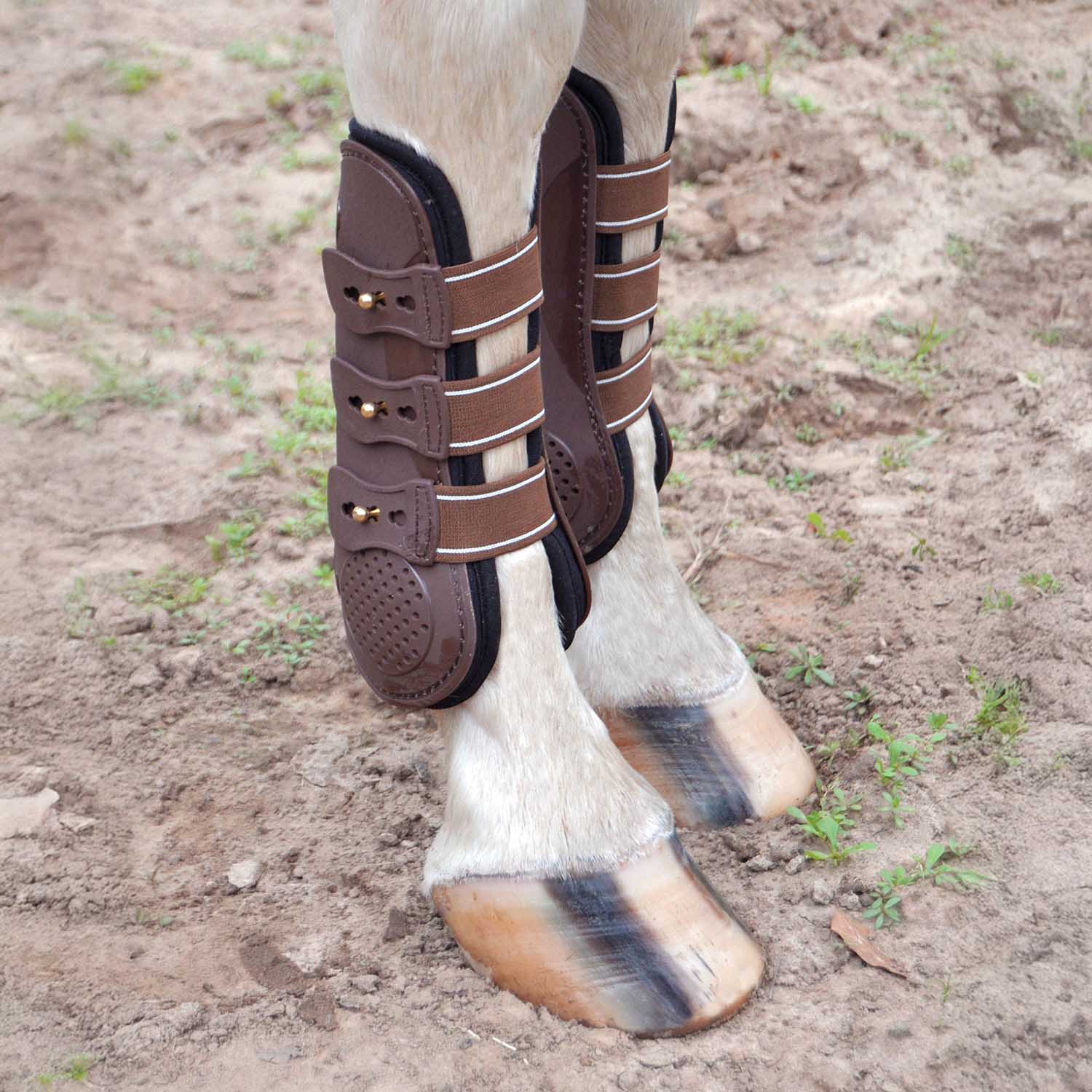 Uniquely English Horse Tendon Boots, 2-Pack