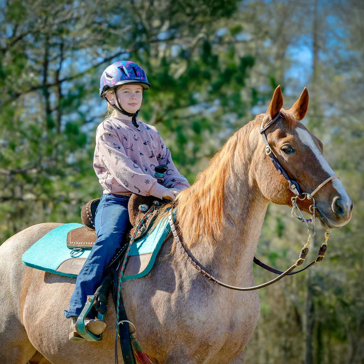 WoolLuxe 100% Wool Equine Saddle Pad – Cushioned, Breathable, and Shock-Absorbing