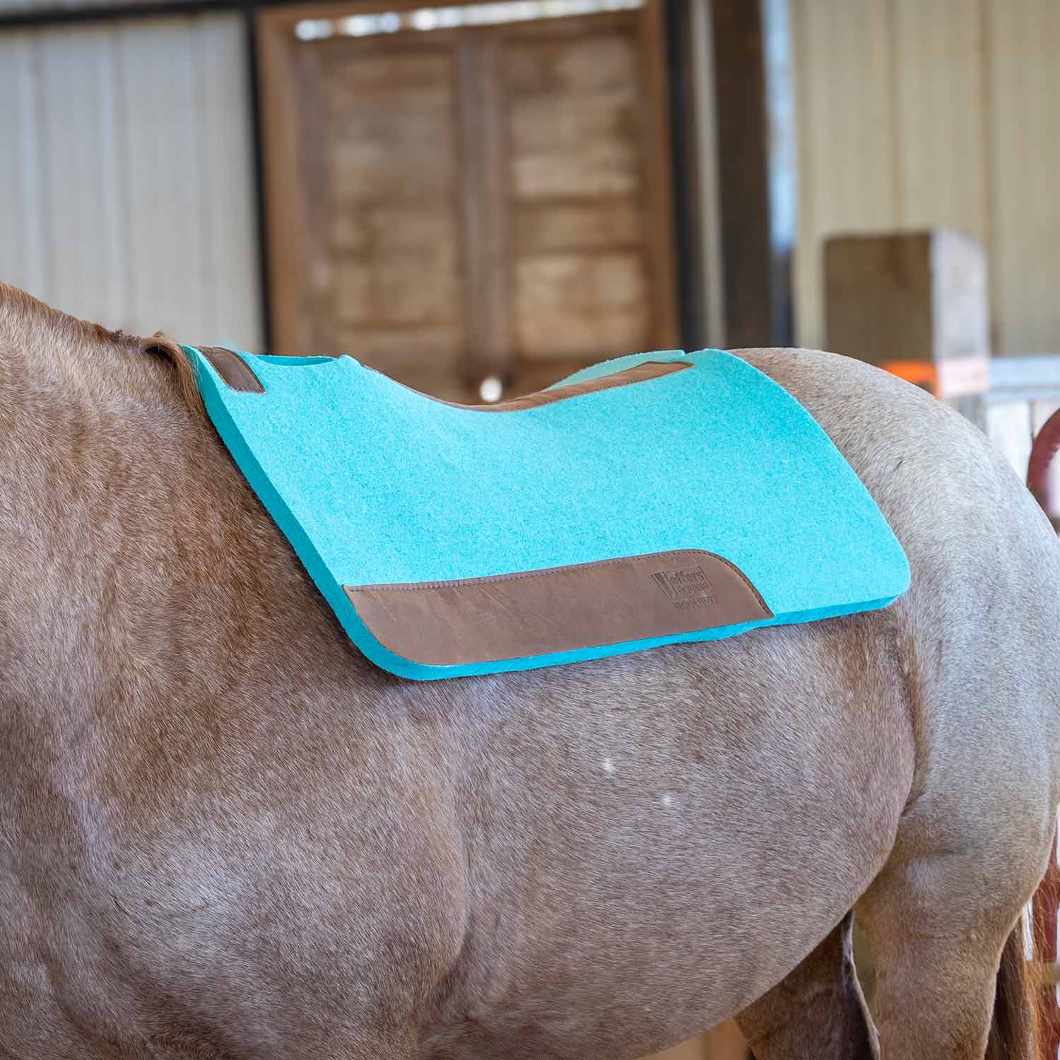 WoolLuxe 100% Wool Equine Saddle Pad – Cushioned, Breathable, and Shock-Absorbing