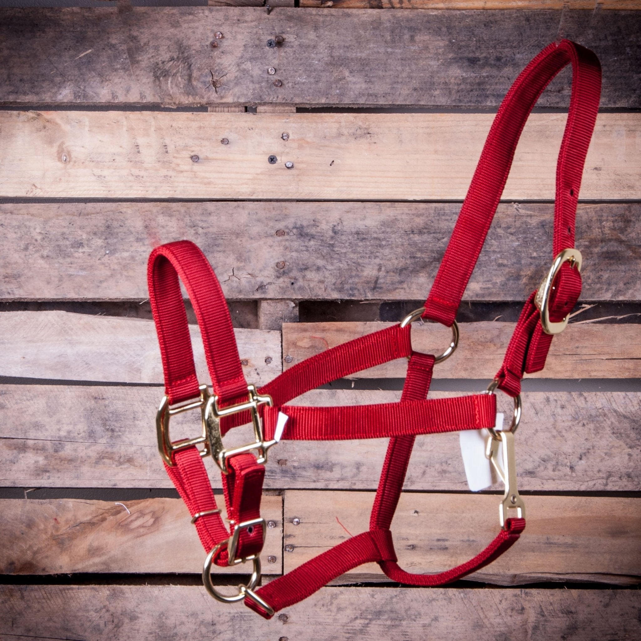 Adjustable Halter with Throat Snap