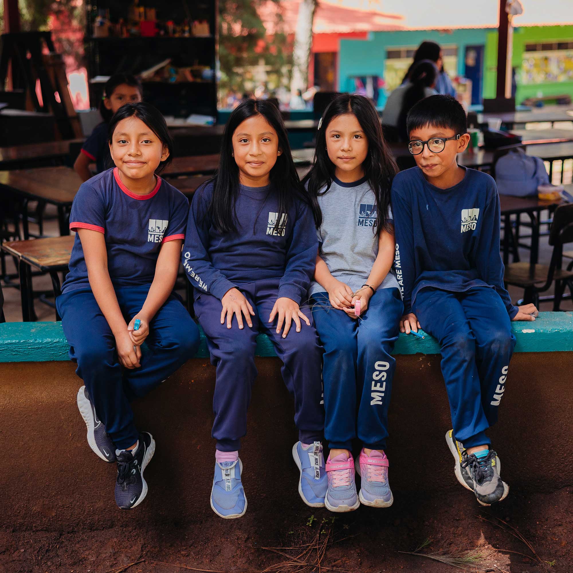 Donate - Meso Foundation