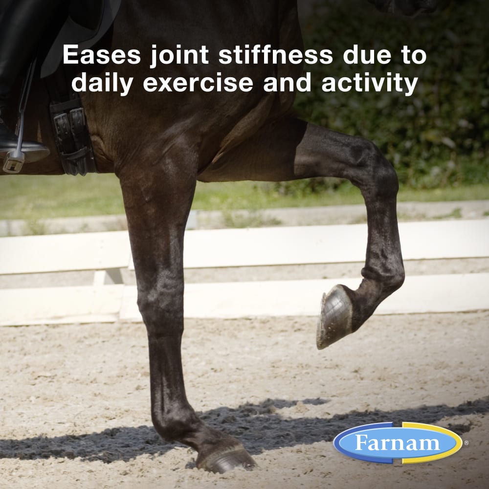 Farnam Next Level Joint Pellets Horse & Dog Supplement 1.875lb