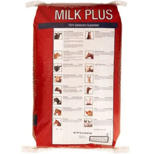 MILK PLUS #50
