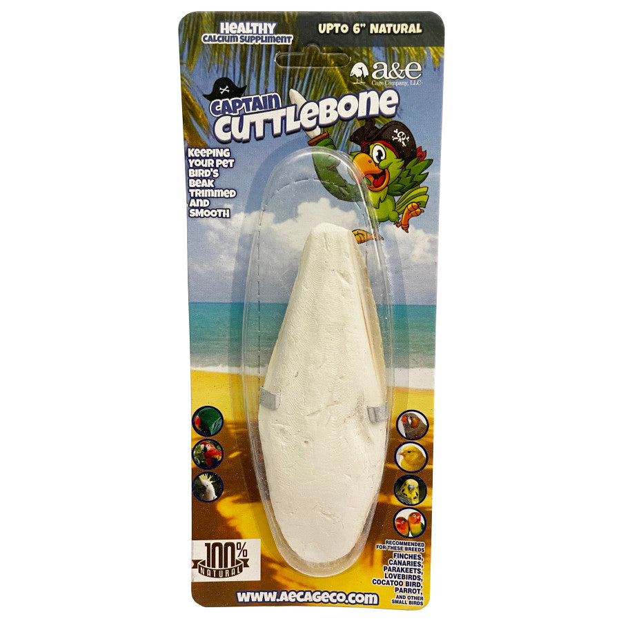 PVE TREAT CUTTLEBONE LG 6IN