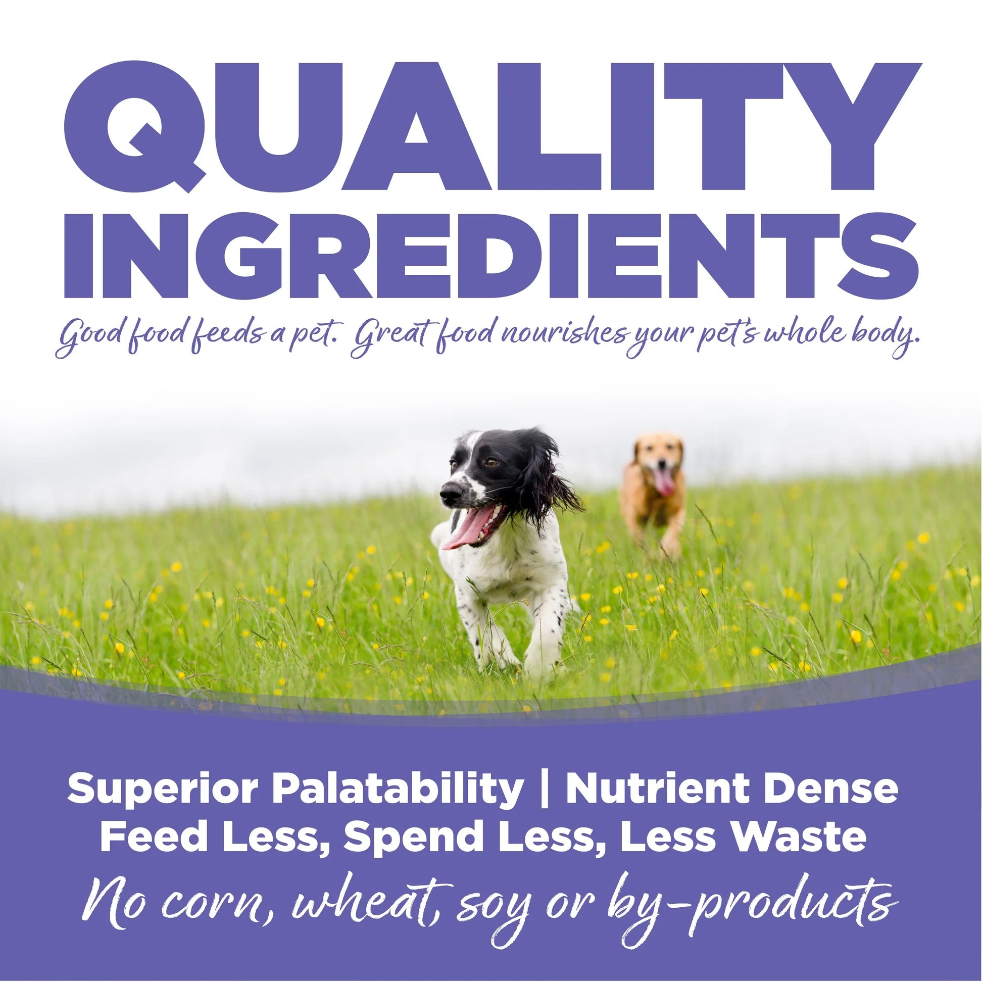 NutriSource Small and Medium Breed Puppy Chicken and Rice 26 LB