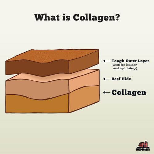RB Collagen Slims 10oz