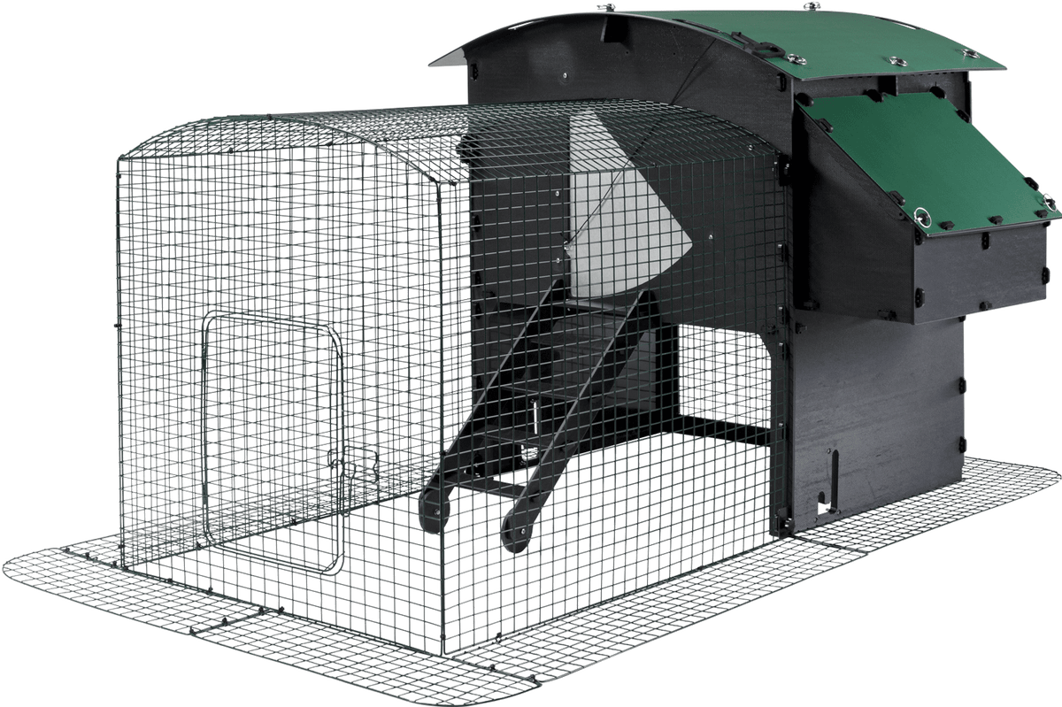 Chicken Coop