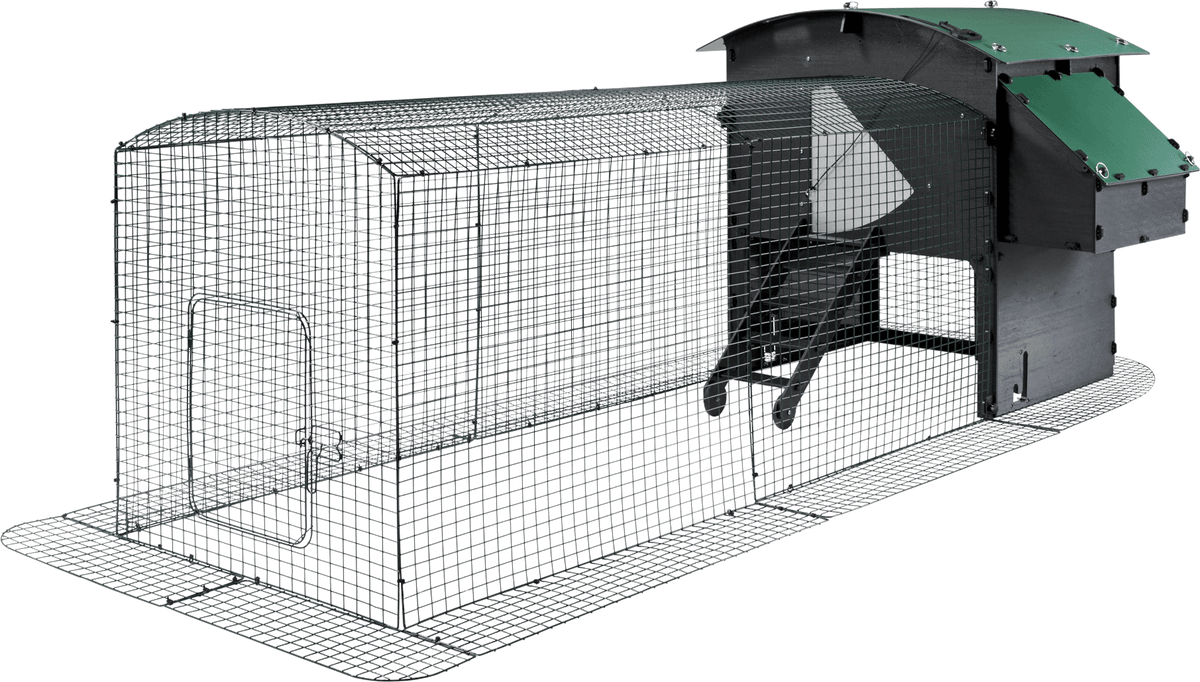 Chicken Coop
