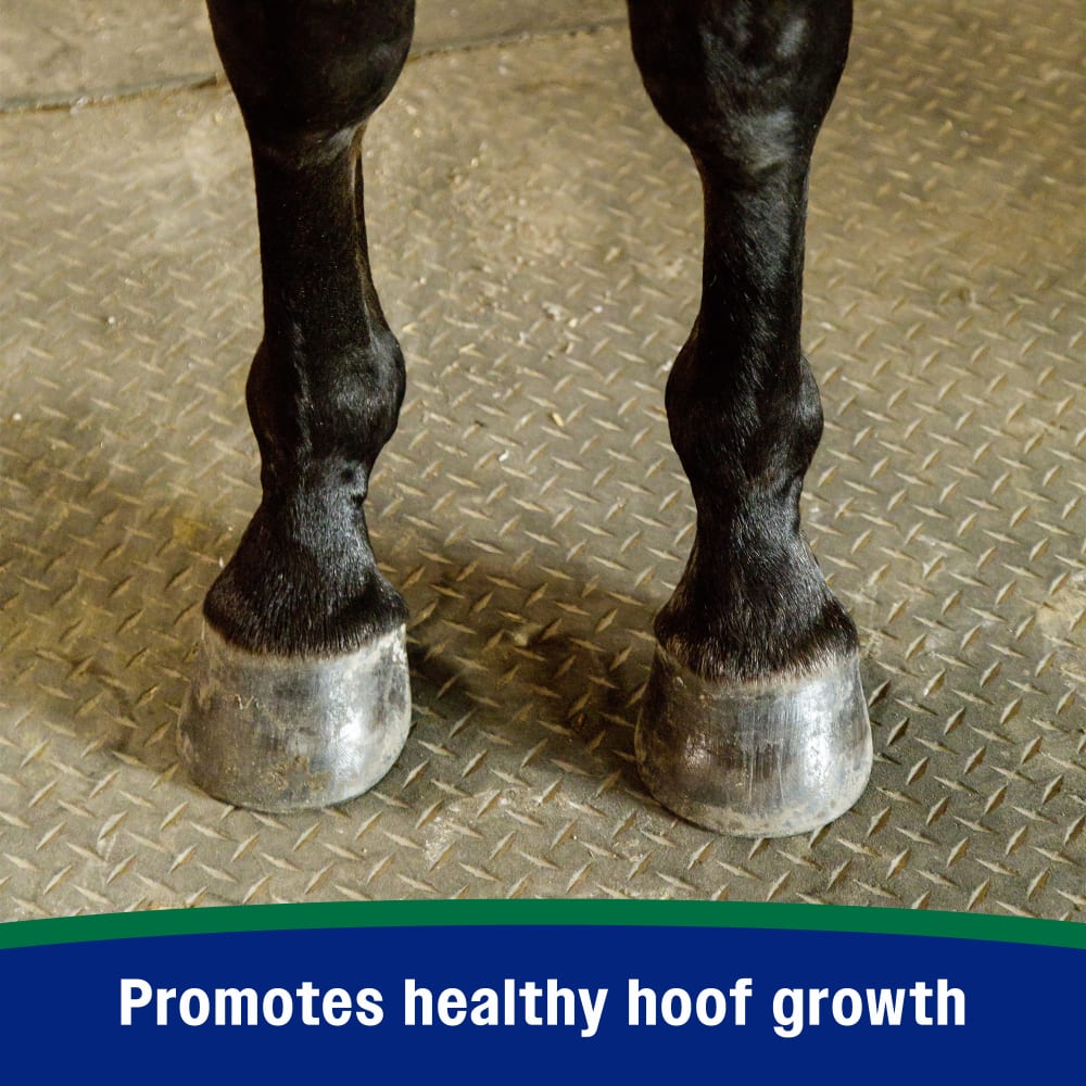 Farnam Horseshoer's Secret Pelleted Hoof Supplement for Horses 11lb