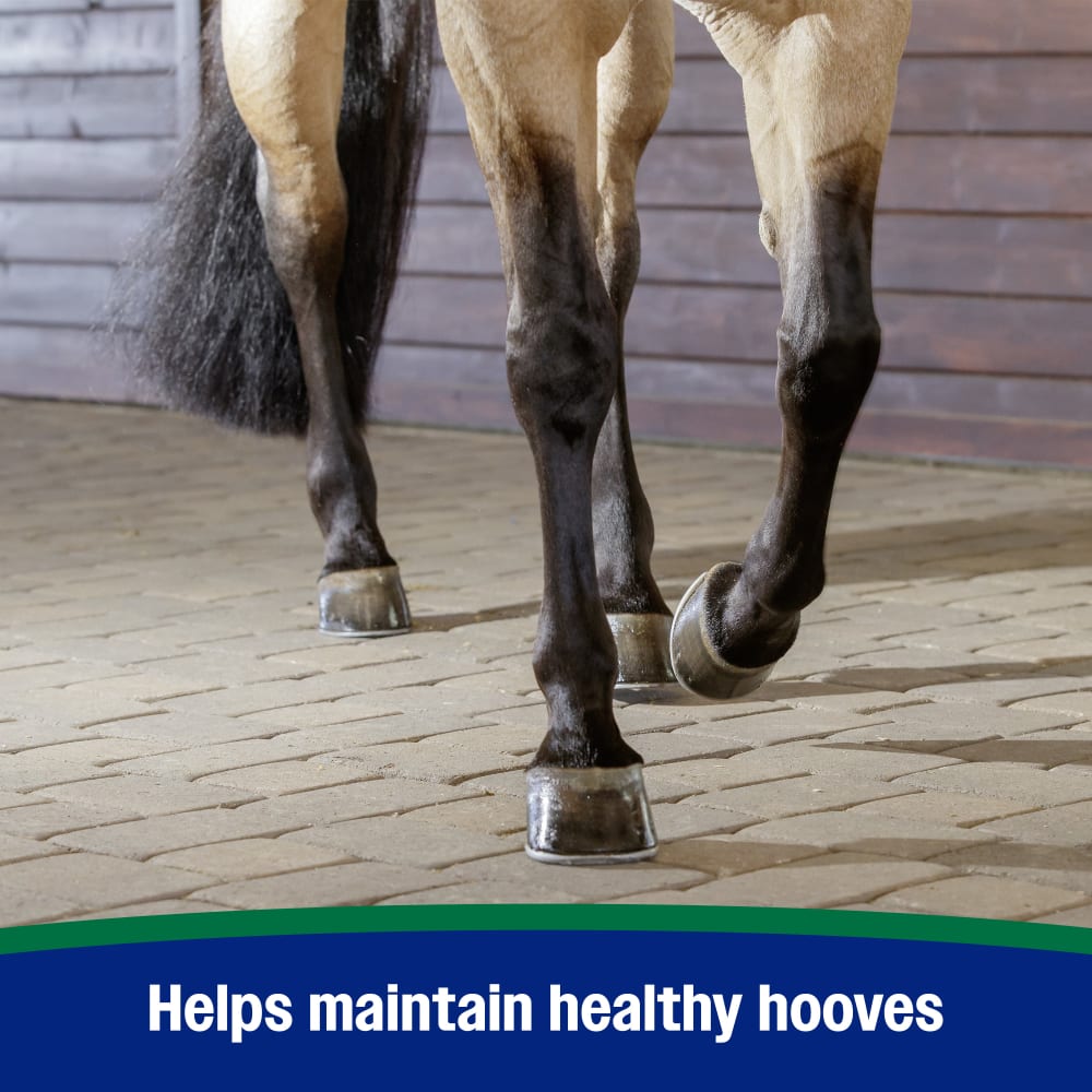 Farnam Horseshoer's Secret Pelleted Hoof Supplement for Horses 11lb