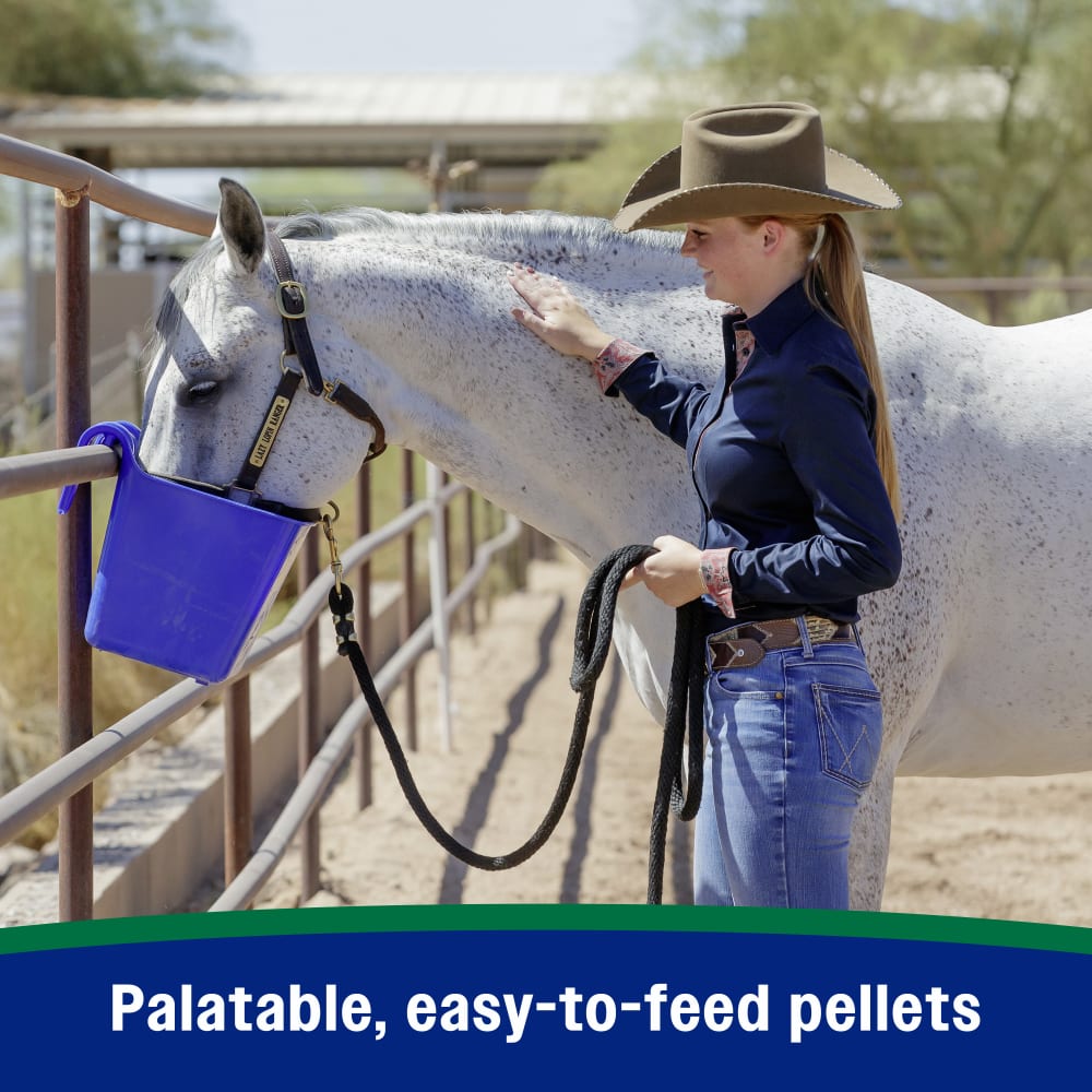 Farnam Horseshoer's Secret Pelleted Hoof Supplement for Horses 11lb