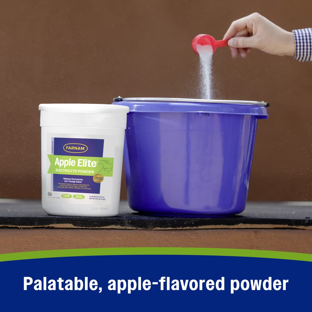 Farnam Apple Elite Electrolyte Powder for Horses 5lb