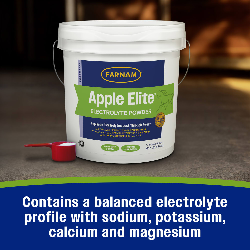 Farnam Apple Elite Electrolyte Powder for Horses 20lb