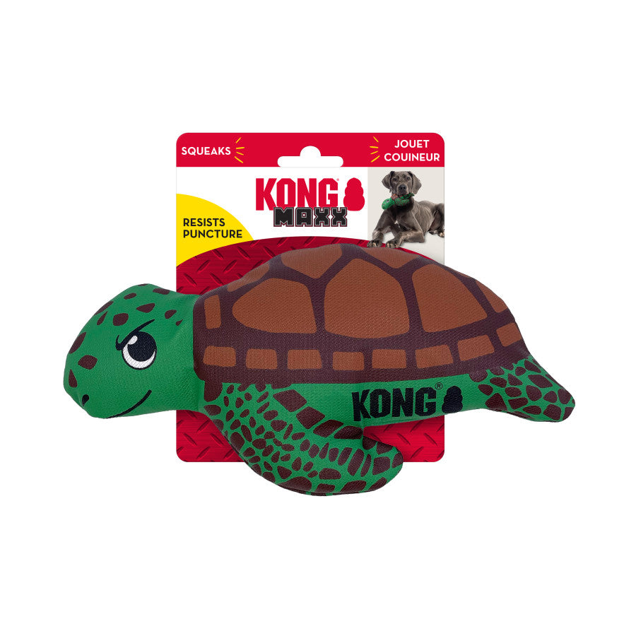 KONG MAXX TURTLE MEDIUM