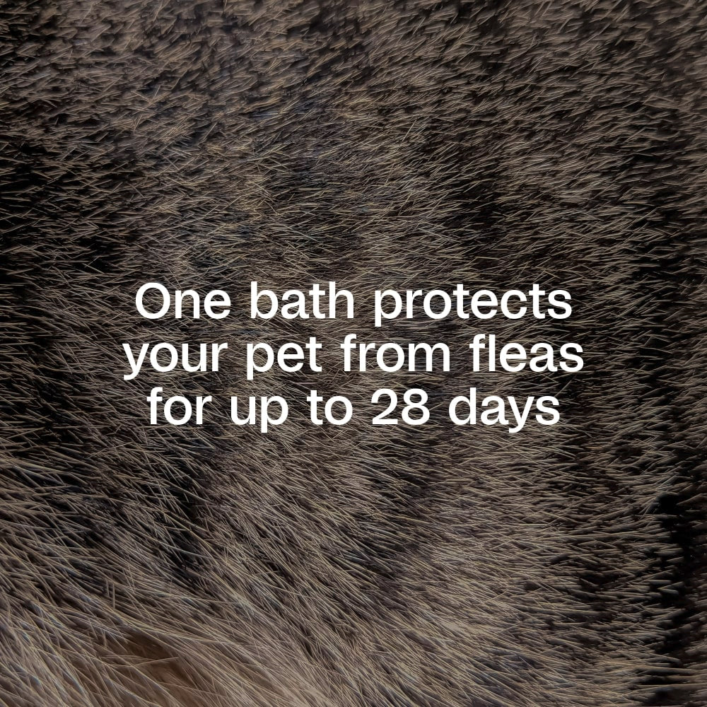 Adams Plus Flea & Tick Shampoo With Precor 12oz