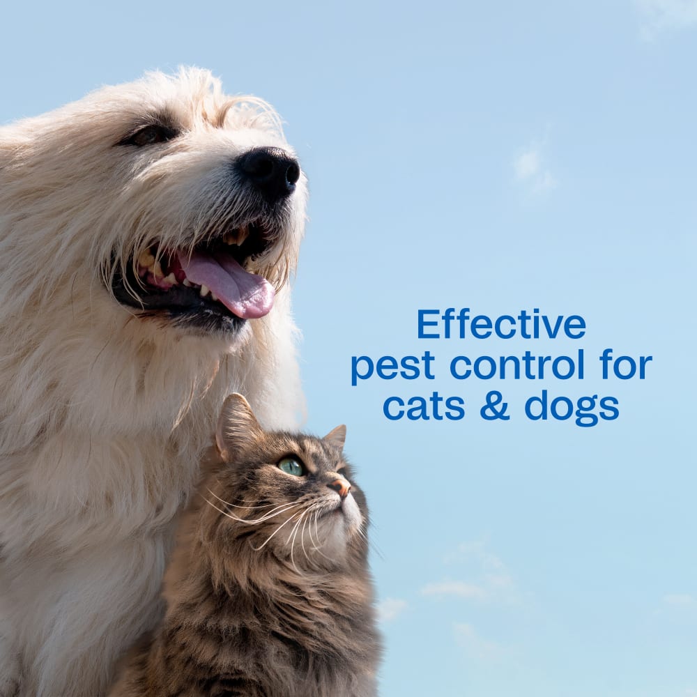 Adams Plus Flea & Tick Shampoo With Precor 12oz