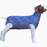 LG SPANDEX GOAT TUBE ASST