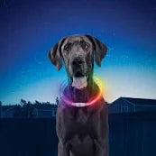 N Ize NiteHowl LED Necklace B