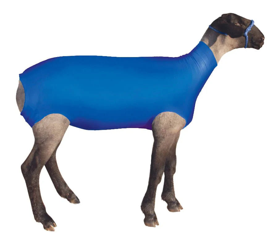 Spandex Lamb Tube Large Blue