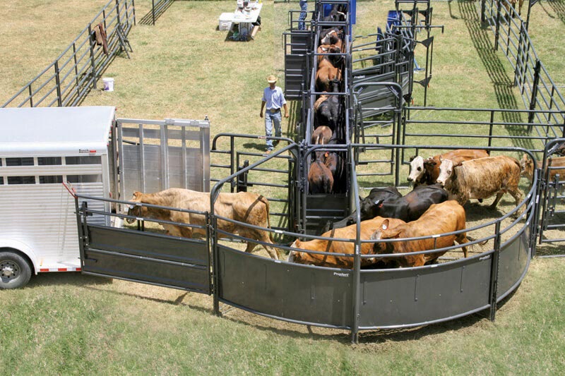 Priefert 135 Degree Solid Sweep w/8' Sorting Gate (SS-15)